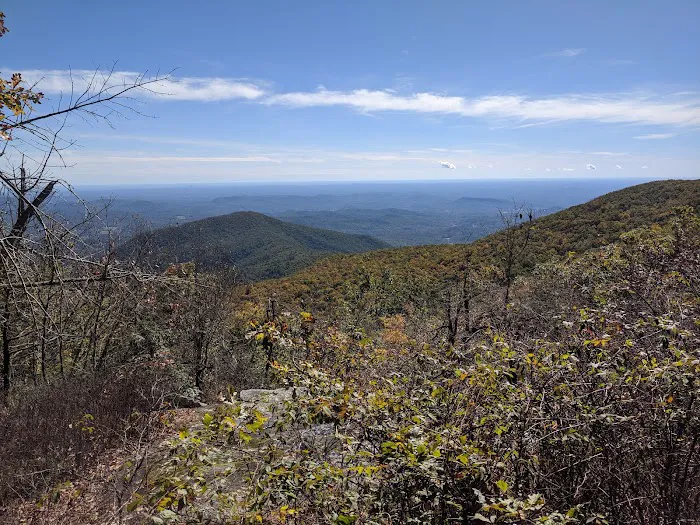 Tray Mountain AT Shelter Picture 3