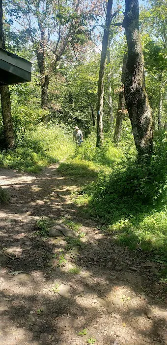 Tray Mountain AT Shelter Picture 4