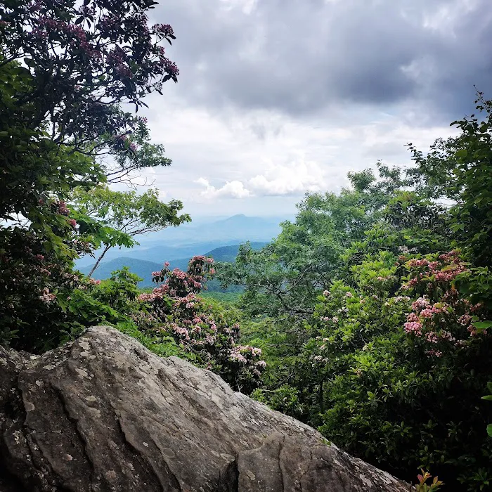 Tray Mountain AT Shelter Picture 7
