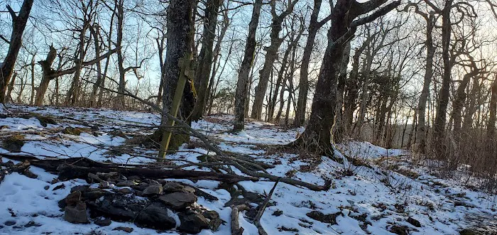 Tray Mountain AT Shelter Picture 10