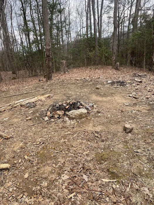 Indian Grave Gap Campsite Picture 1