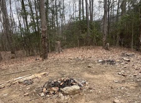 Indian Grave Gap Campsite
