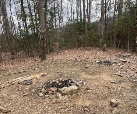 Indian Grave Gap Campsite