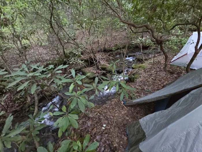 Indian Grave Gap Campsite Picture 3