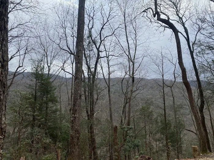 Indian Grave Gap Campsite Picture 6