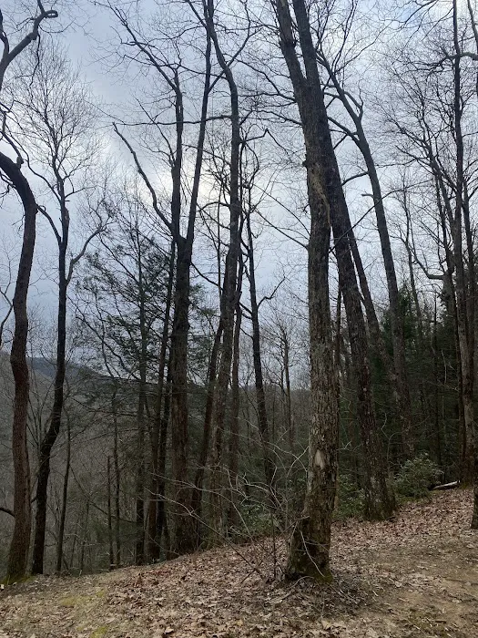 Indian Grave Gap Campsite Picture 7