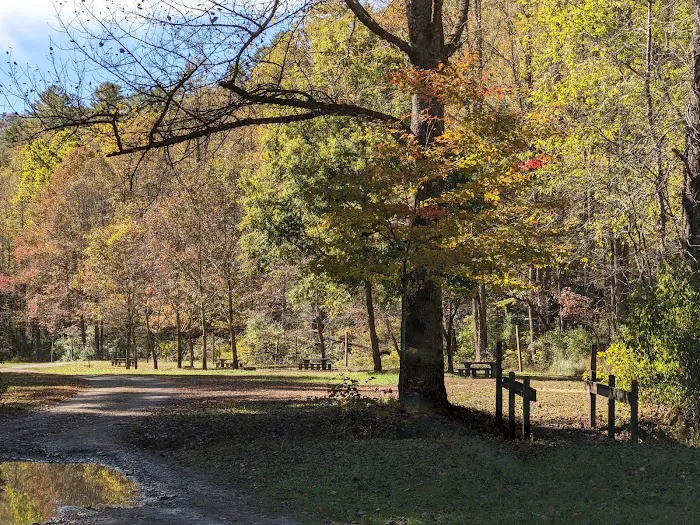 Bristol Fields Horse Camp Picture 1