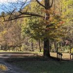 Bristol Fields Horse Camp