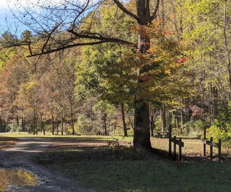 Bristol Fields Horse Camp