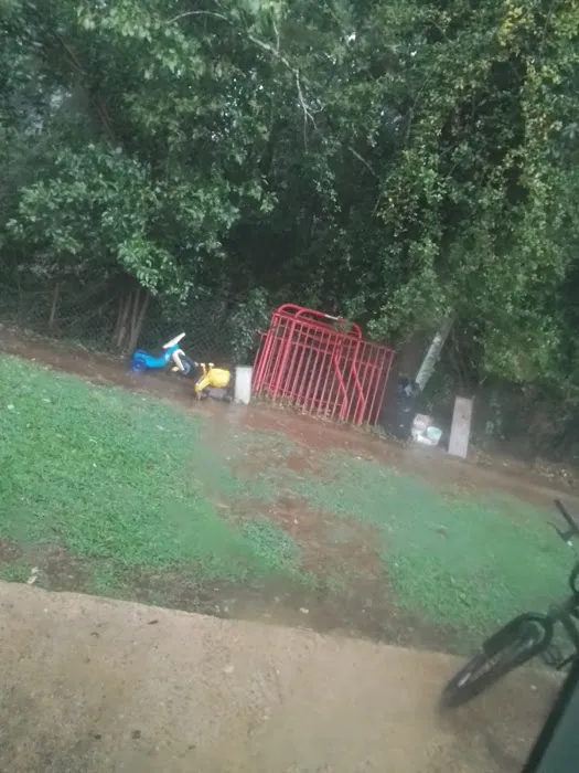 Hiawassee Camping Picture 2