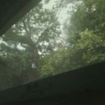 Hiawassee Camping