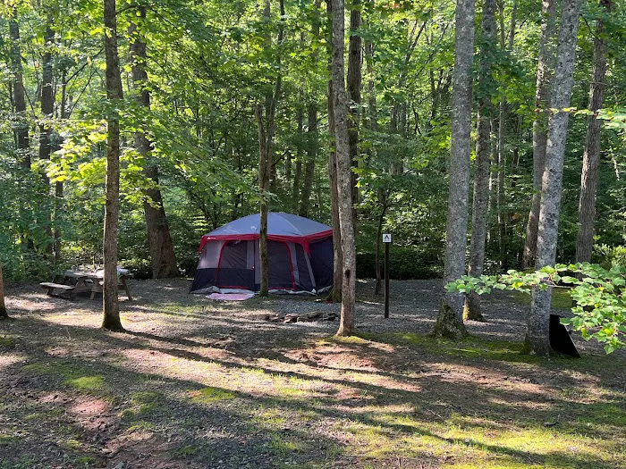 Long Ridge Campground Picture 7