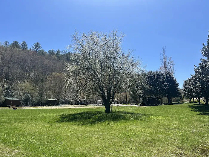 Appalachian RV Park and Campground Picture 2