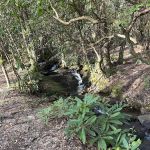 Kevin Ford Campsite