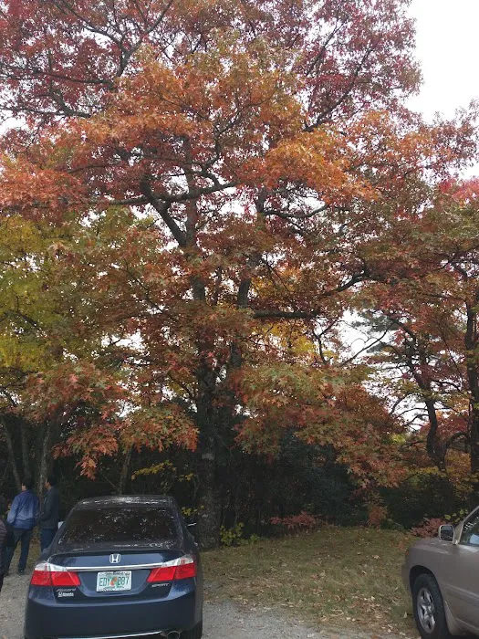 Cradle of Forestry In Amer I Picture 3