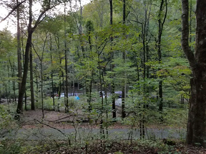 Andrews Cove Campground Picture 3