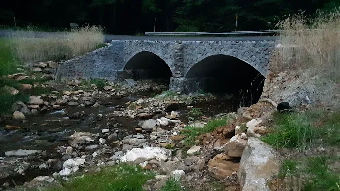 Andrews Cove Campground Picture 2