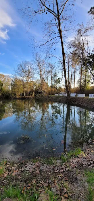 The Cove RV Park Picture 3