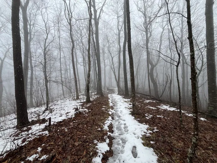 Blue Mountain Shelter Picture 1