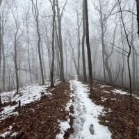 Blue Mountain Shelter ico