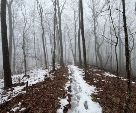 Blue Mountain Shelter