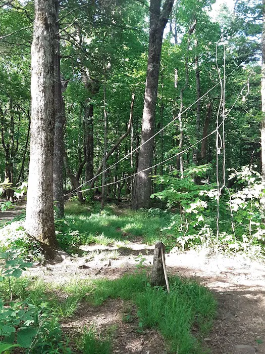 Blue Mountain Shelter Picture 5