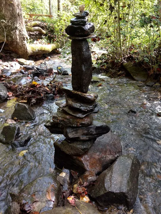Turkey Creek Campground Picture 2