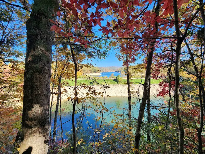Turkey Creek Campground Picture 9
