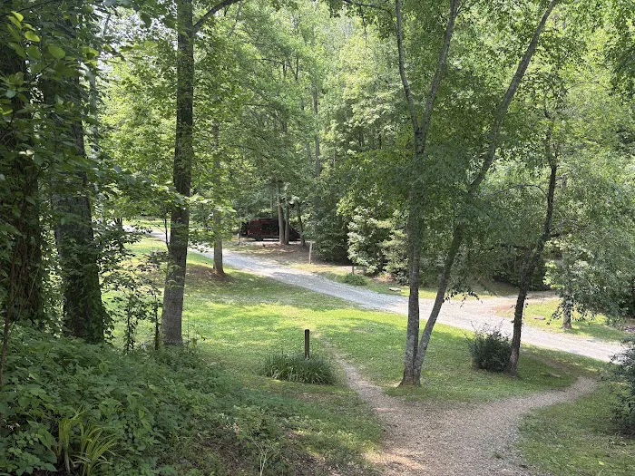 Turkey Creek Campground Picture 4