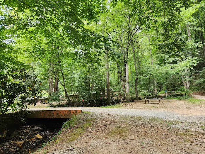 Turkey Creek Campground Picture 5