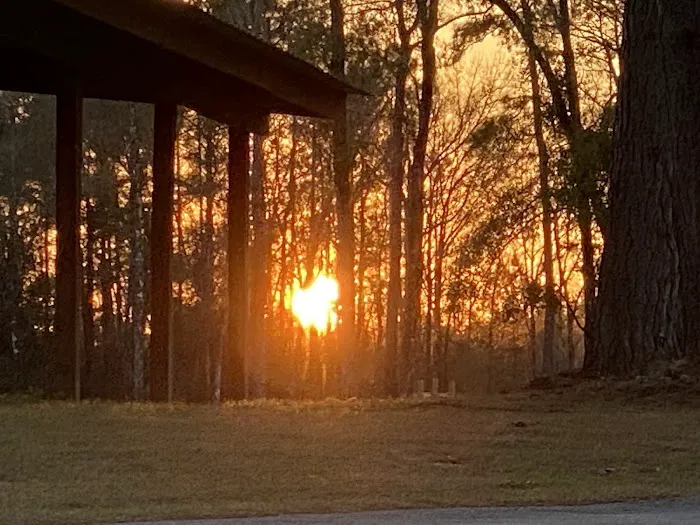 Ponce De Leon RV Park Picture 5