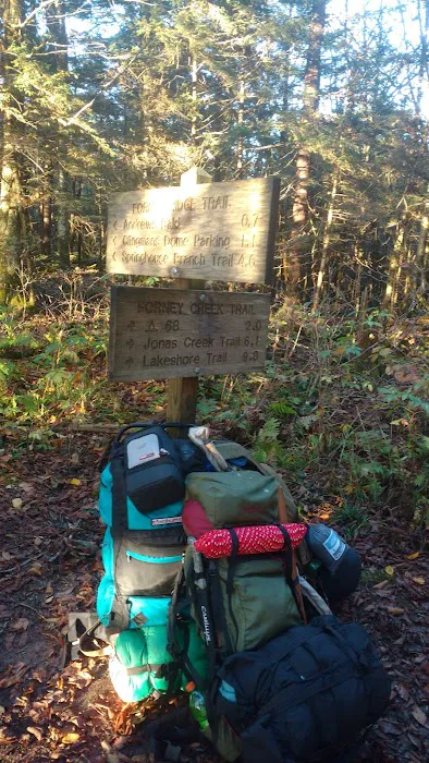Backcountry Campsite #70 Picture 2
