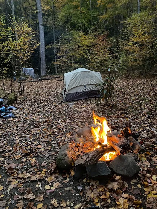 Backcountry Campsite #70 Picture 7