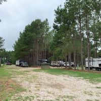 American Robin RV Park ico