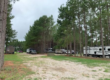 American Robin RV Park