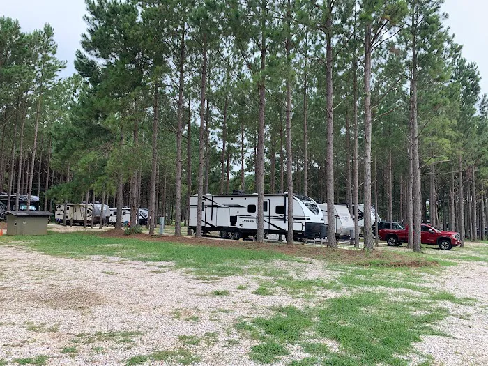 American Robin RV Park Picture 4