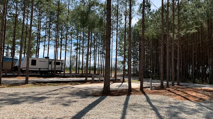 American Robin RV Park Picture 3