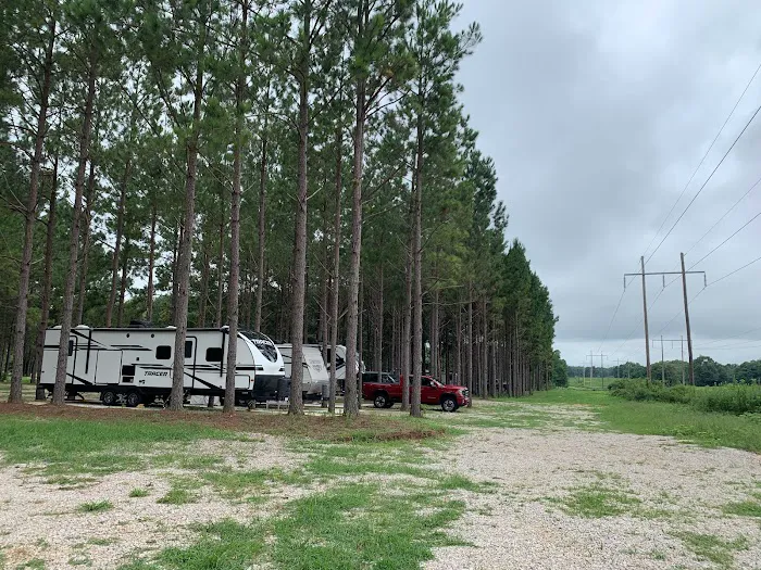 American Robin RV Park Picture 7