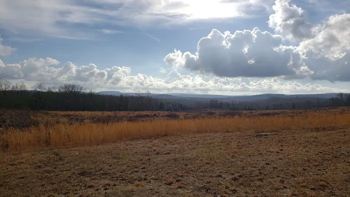 Freedom Hills Campground Picture 5