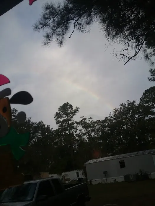 Shady Oaks Park Picture 1