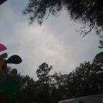 Shady Oaks Park