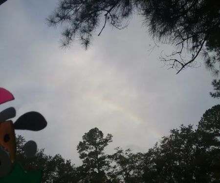 Shady Oaks Park