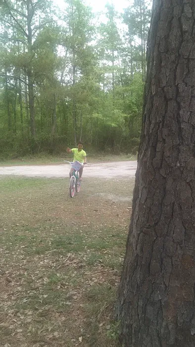 Shady Oaks Park Picture 3
