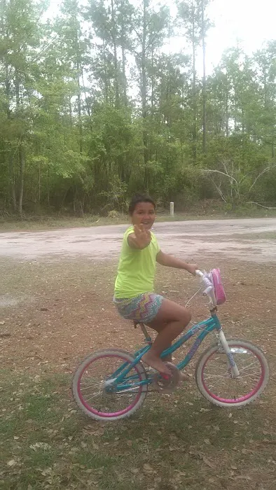 Shady Oaks Park Picture 4