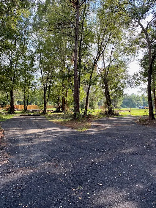 Oasis 82 RV Park Picture 3