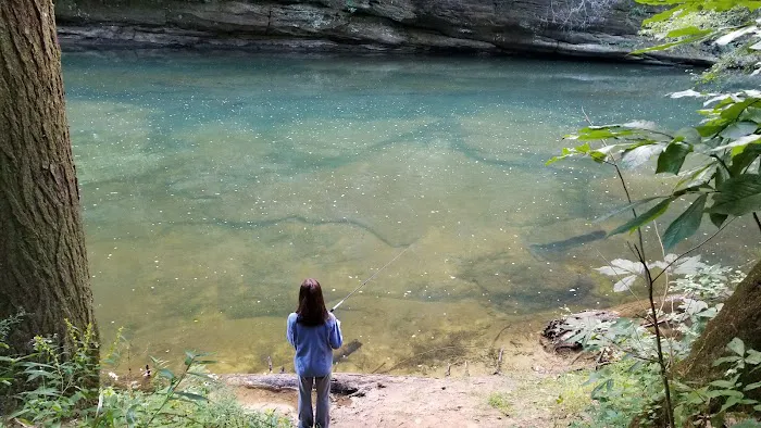 Daddys Creek Campsite Picture 1