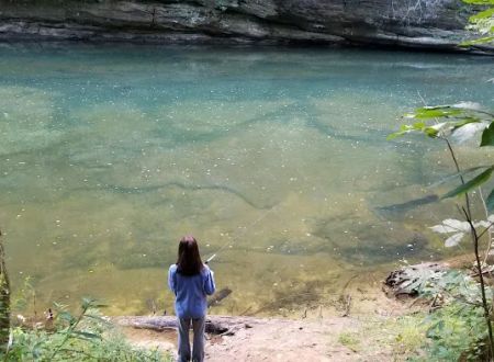Daddys Creek Campsite