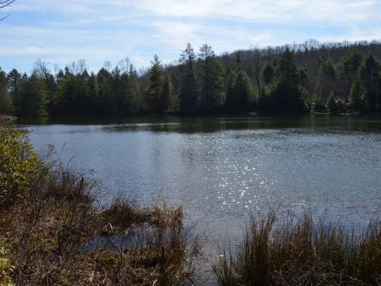 Lake Waldensia Picture 2