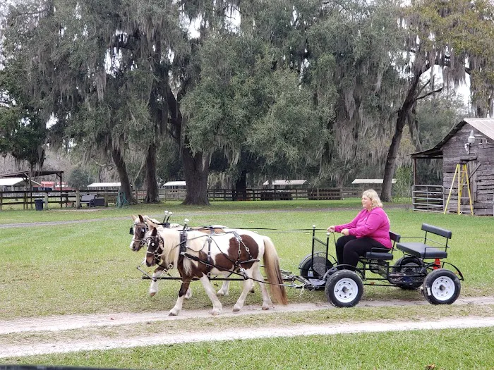 Long Branch Rest and Ride R.V. and Horse Park Picture 7
