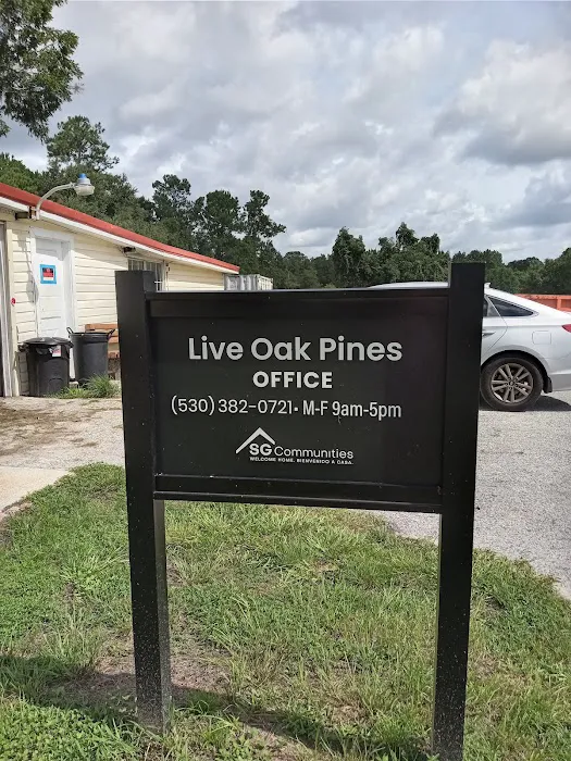 Live Oak Pines Mobile Home Park Picture 10